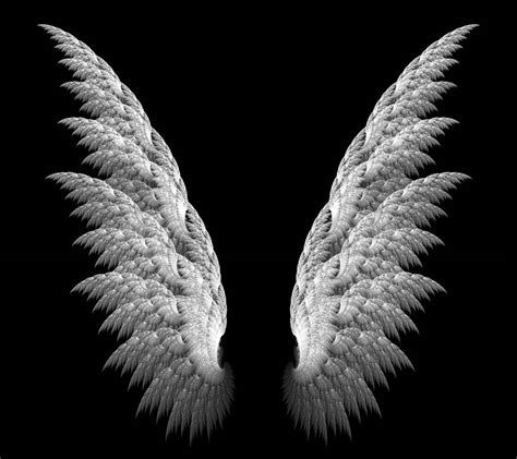 angel wings on black background|More.